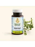 MORFEMAP MAP Italia Maharishi Ayurveda 