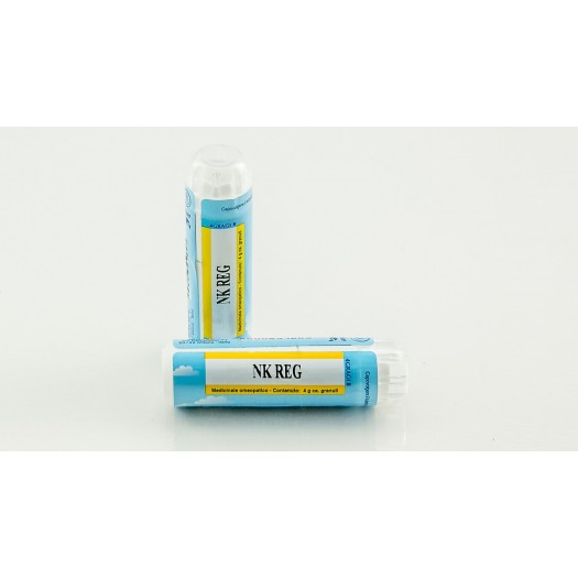 NK Reg