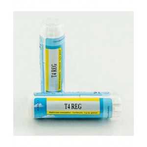 T4 Reg Granuli Guna T4 Reg Granuli Guna