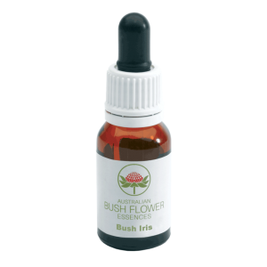 Bush Iris Fiore Australiano Bush Iris Fiore Australiano