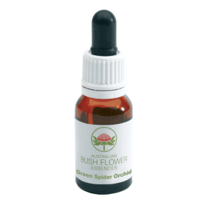 Green Spider Orchid - Caladenia dilatata Green Spider Orchid - Caladenia dilatata