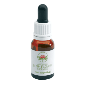 Red Grevillea - Grevillea speciosa Red Grevillea - Grevillea speciosa